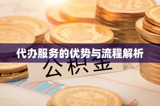 霞山代办服务的优势与流程解析
