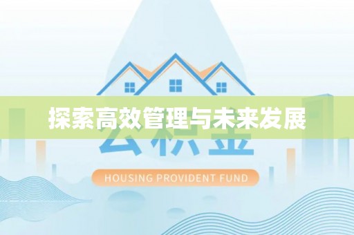 霞山探索高效管理与未来发展