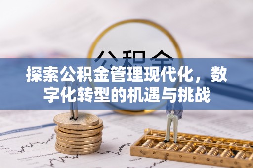 霞山探索公积金管理现代化，数字化转型的机遇与挑战