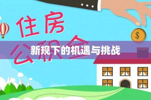 霞山新规下的机遇与挑战