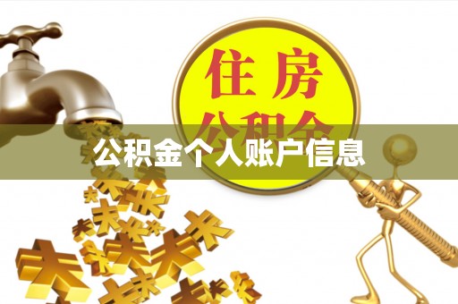 霞山公积金个人账户信息