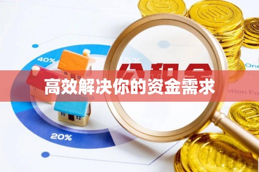 霞山高效解决你的资金需求
