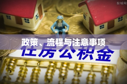 霞山政策、流程与注意事项