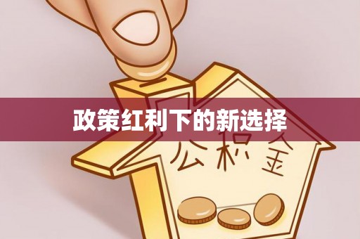 霞山政策红利下的新选择