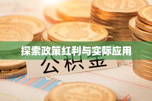 霞山探索政策红利与实际应用