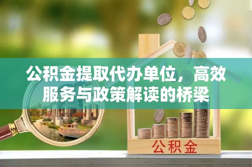 霞山公积金提取代办单位，高效服务与政策解读的桥梁