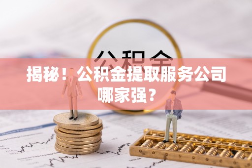 霞山揭秘！公积金提取服务公司哪家强？