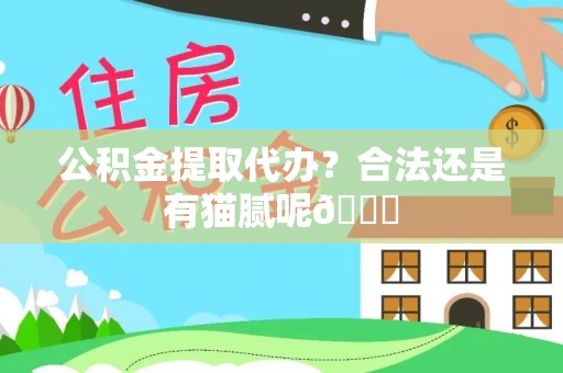 霞山公积金提取代办？合法还是有猫腻呢😏