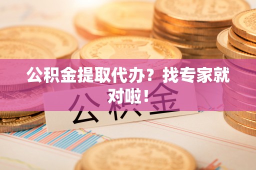 霞山公积金提取代办？找专家就对啦！