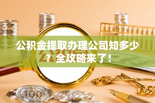 霞山公积金提取办理公司知多少？全攻略来了！