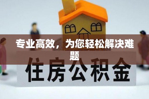 霞山专业高效，为您轻松解决难题