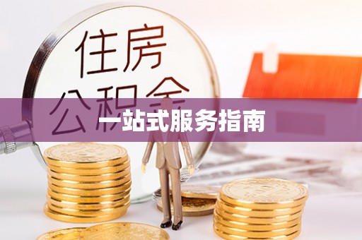 霞山一站式服务指南