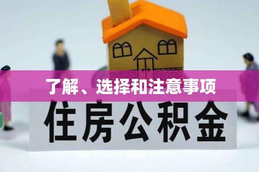 霞山了解、选择和注意事项
