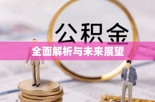 霞山全面解析与未来展望